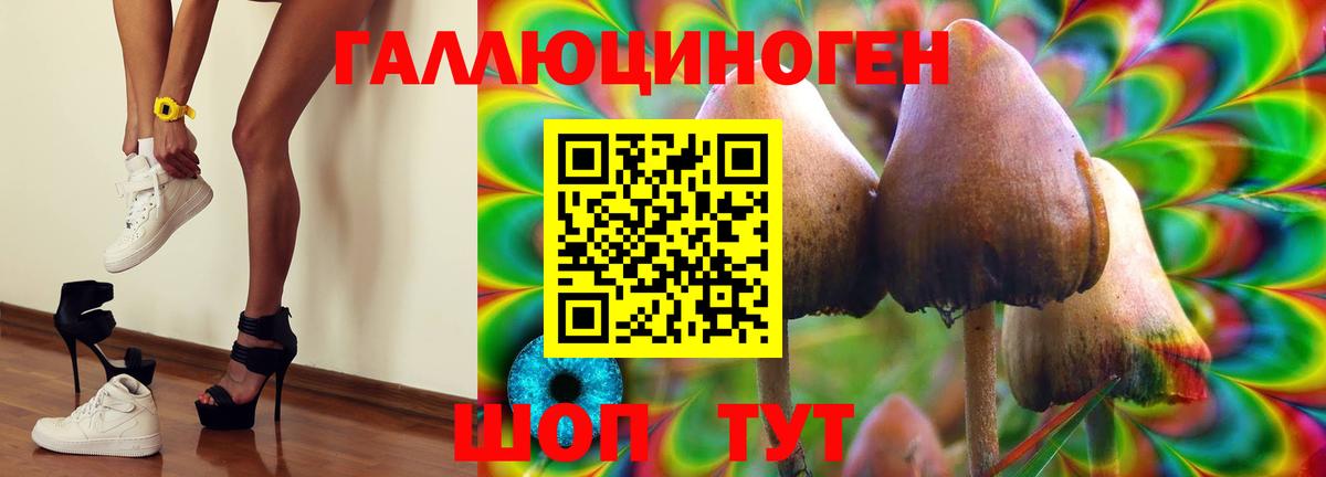Псилоцибиновые грибы мухоморы  Вход с VPN  Новозыбков  Псилоцибиновые грибы прущие грибы 